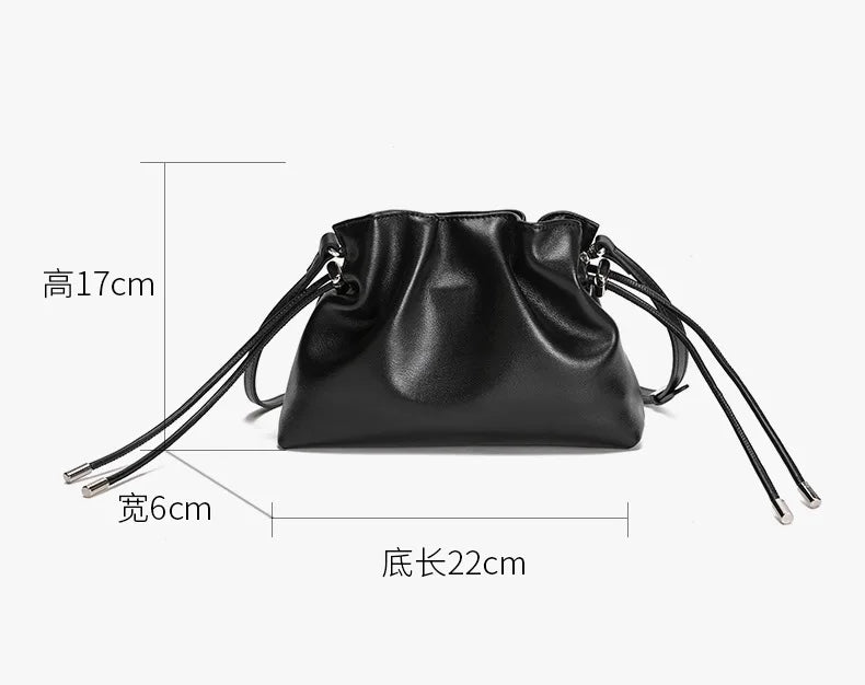 Pleated Genuine Leather Cloud Bag